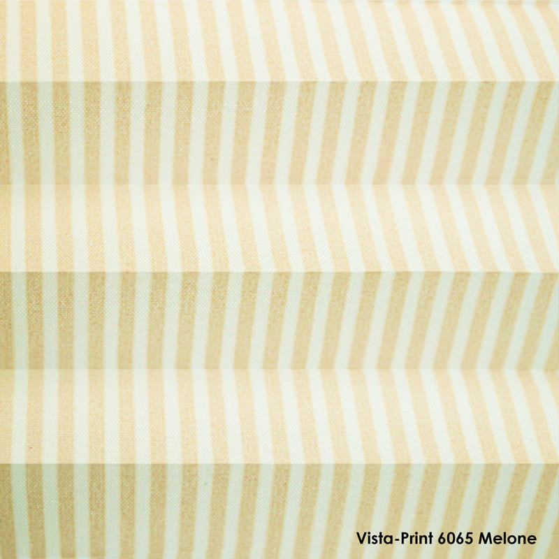 Жалюзі плісе Vista Print