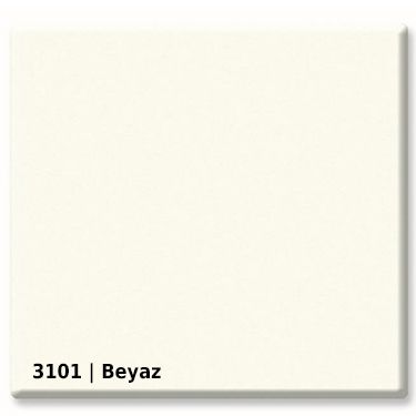 3101